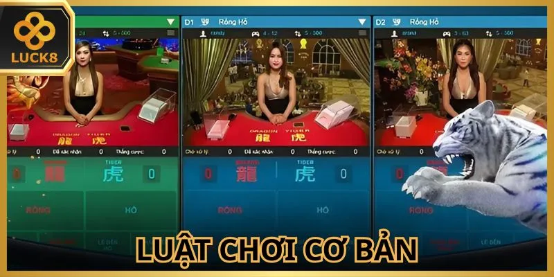 thanh-vien-co-nhieu-su-lua-chon-o-cua-dat-cuoc